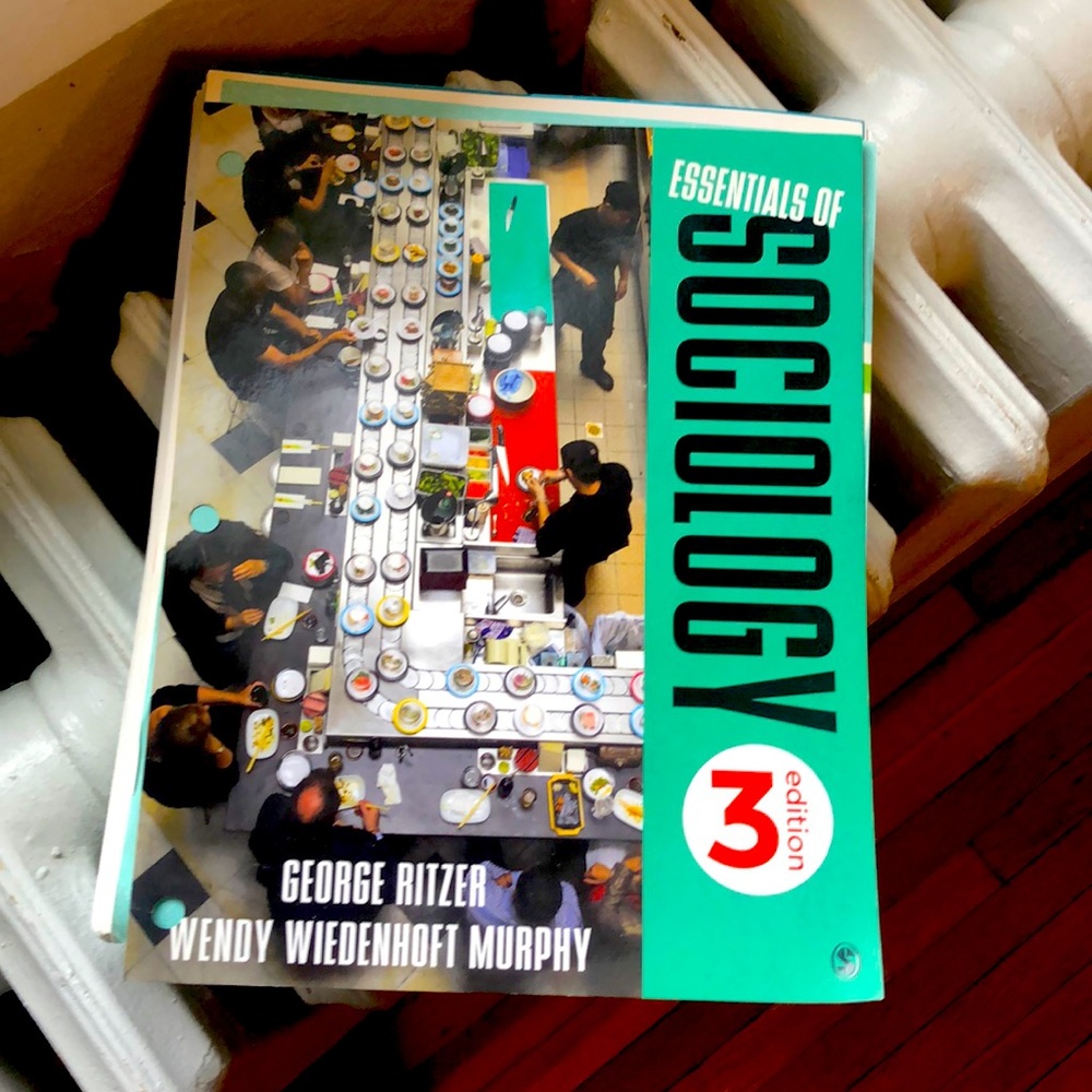 Essentials of sociology 3rd edition